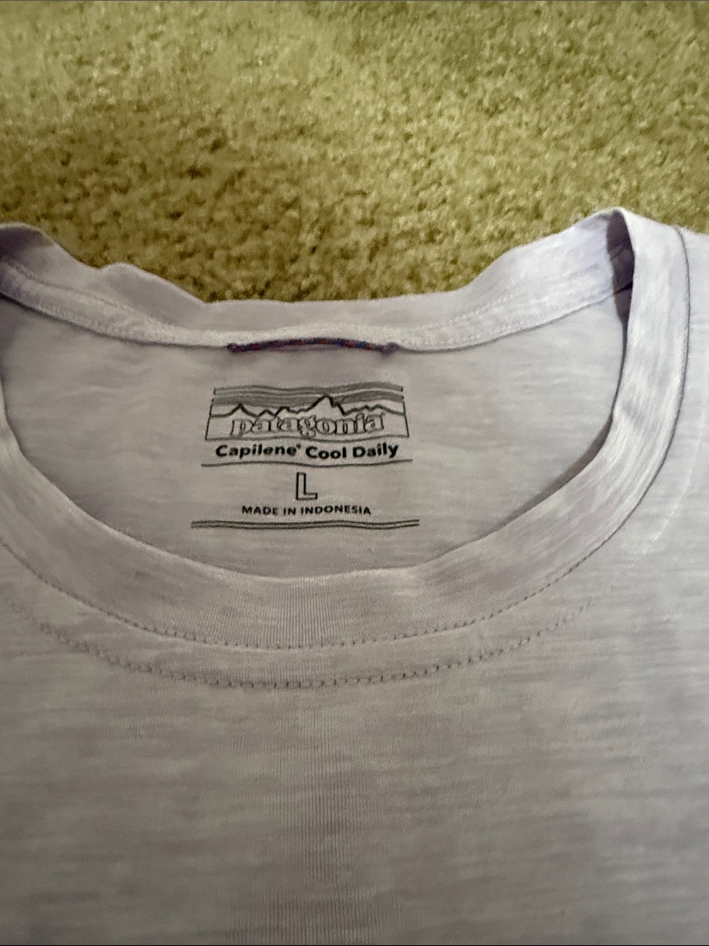 Patagonia Light Gray Capilene Cool Daily Crew T-Shirt - Men’s